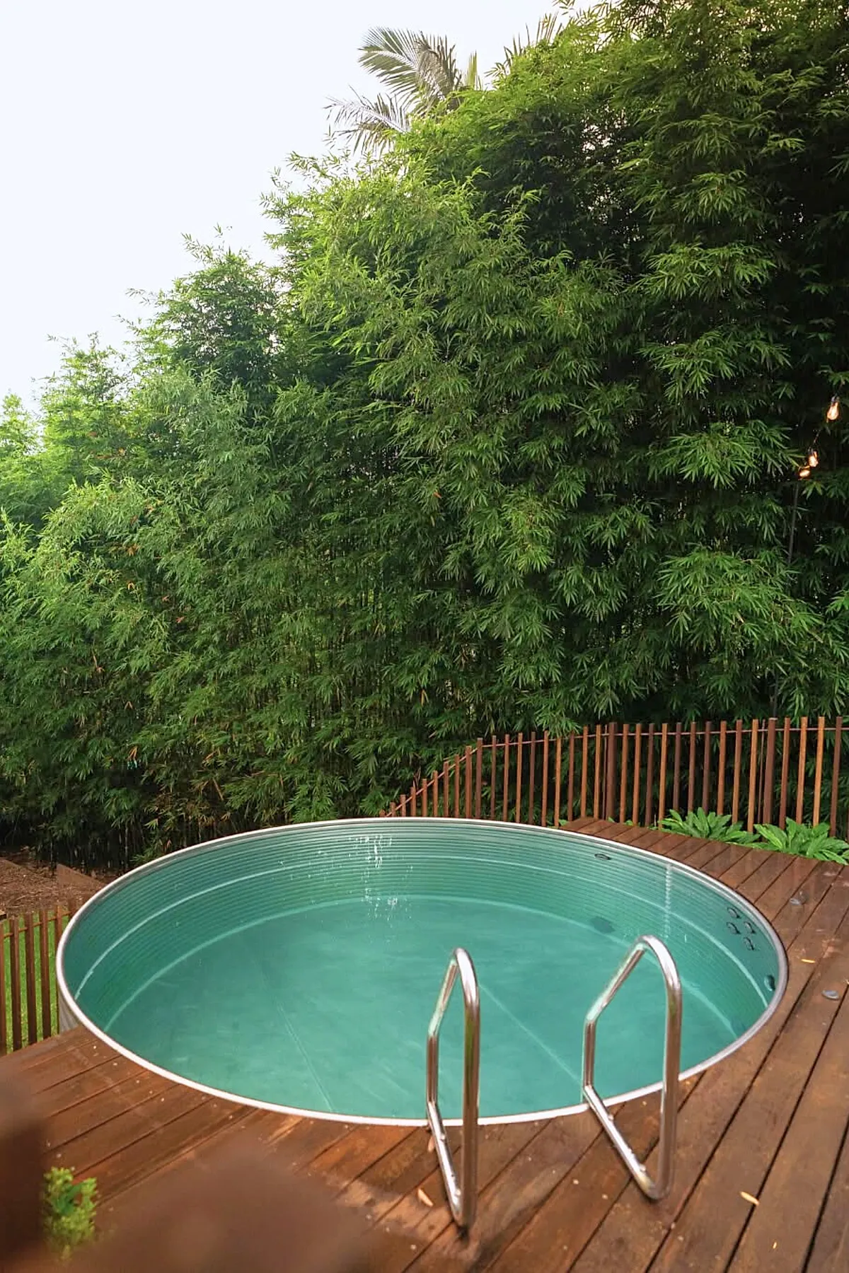 A small round inground pool with aqua water set into a wooden deck, surrounded by tall dense green bamboo plants and a brown wooden fence in the background.