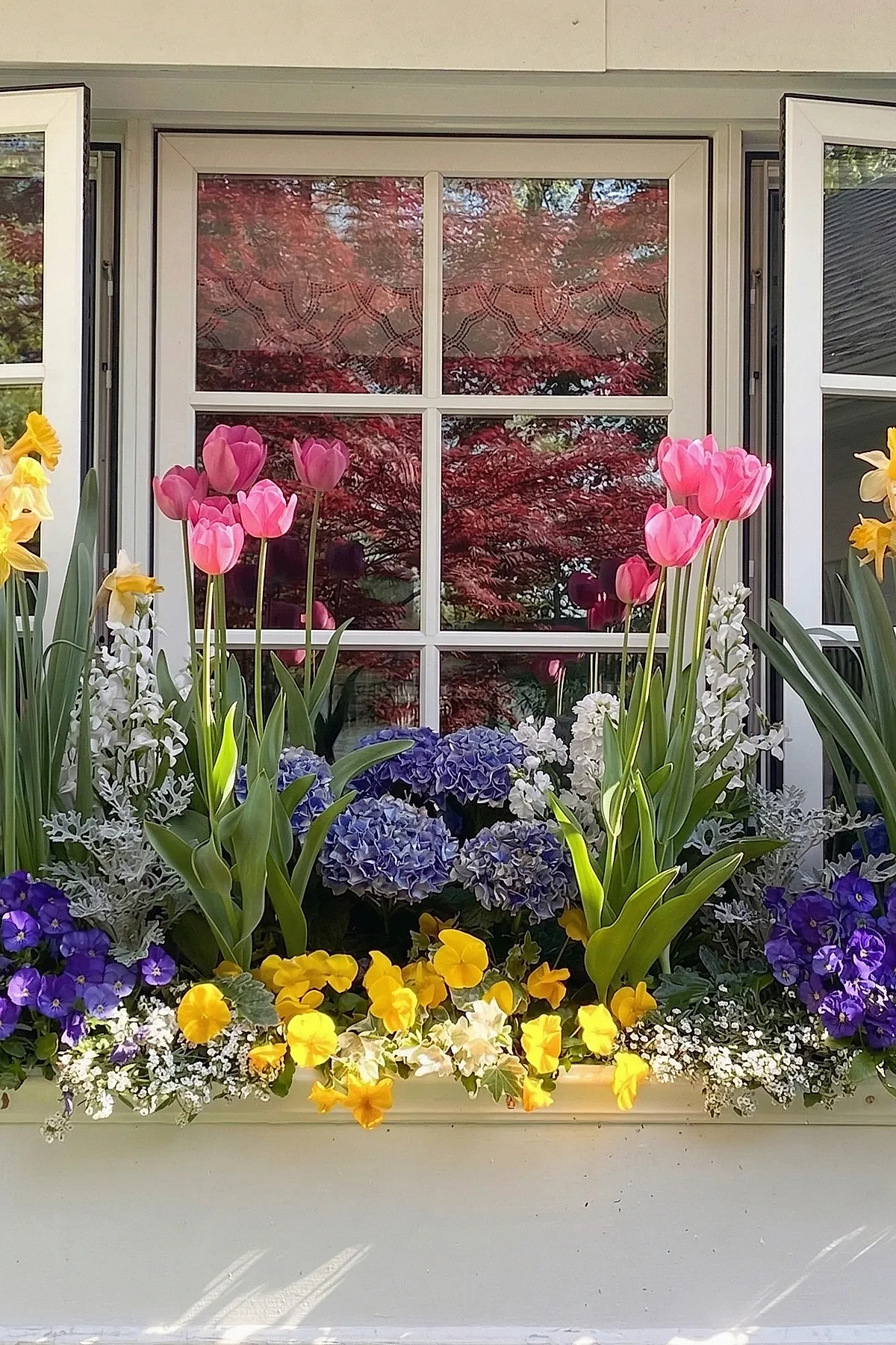 Wooden window box filled with pink tulips, yellow daffodils, purple and blue flowers including hydrangeas and pansies, arranged under a white framed window with glass panes reflecting red leaves.