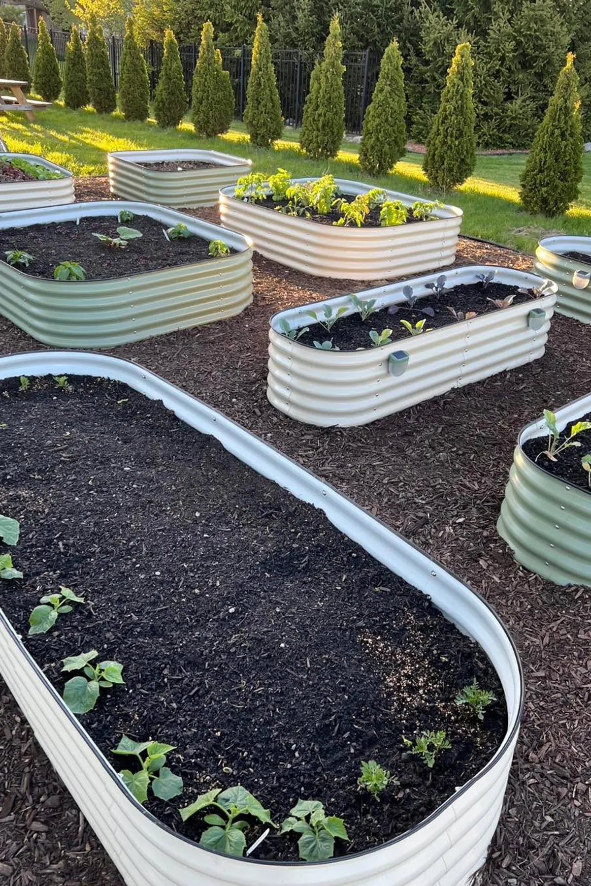 Outdoor garden with various shaped metal raised beds on mulch, tall trees, and a tent-like structure.