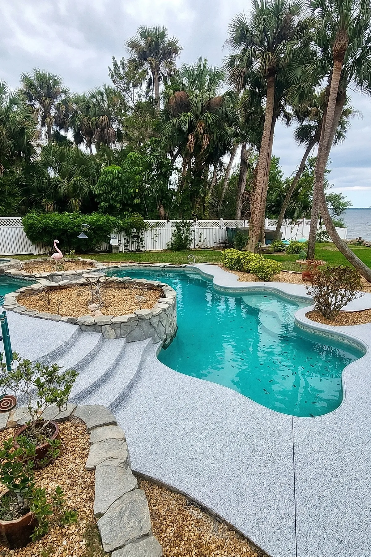 Swimming pool with curvy white pool deck edges featuring stone accents filled with pebbles and small plants, surrounded by palm trees and lush greenery under an overcast sky near a waterfront.