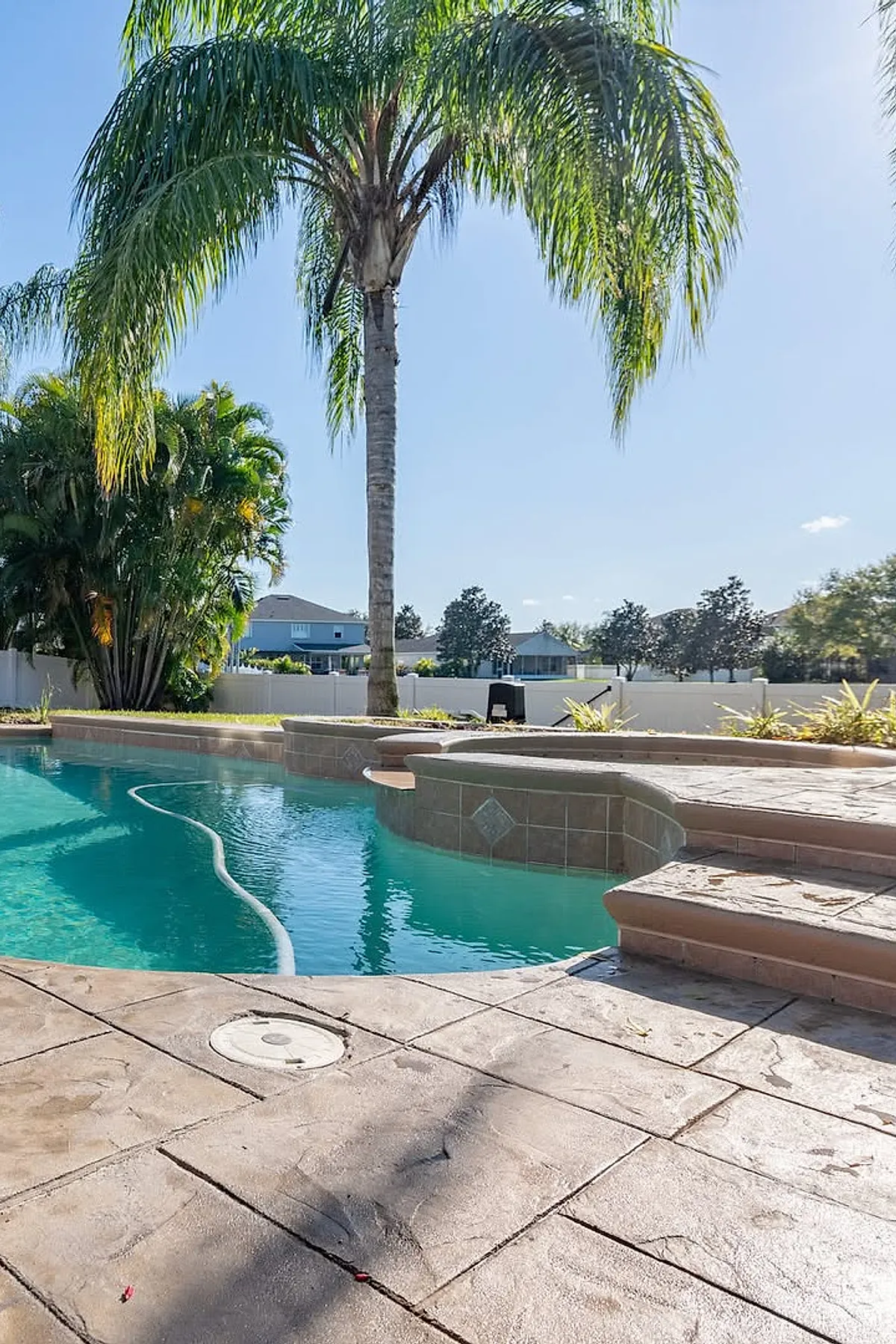 Swimming pool with curved edges surrounded by beige tile pool deck, steps leading up to a raised spa area, and a tall palm tree in the background under clear blue sky.