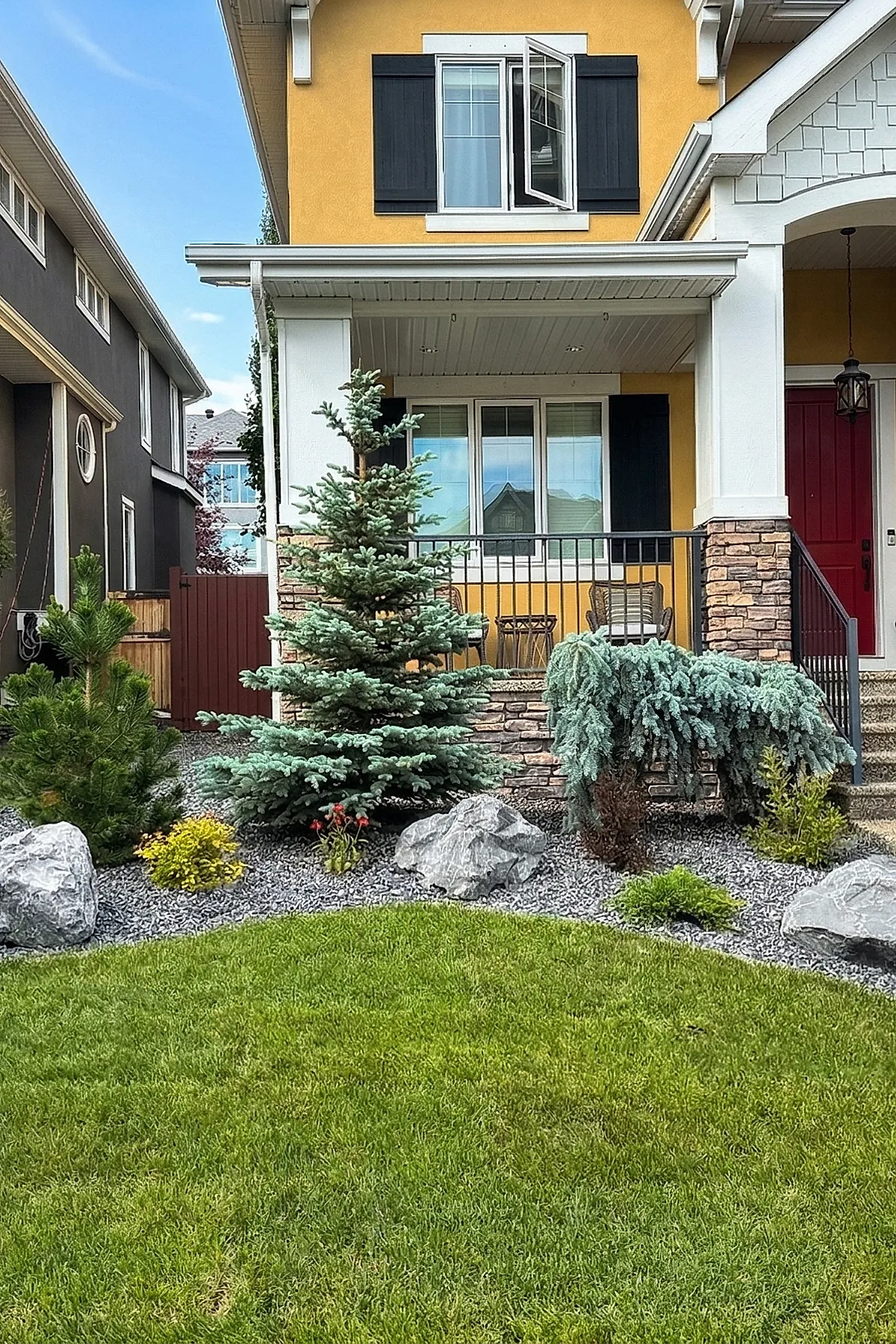 Small front yard landscaping with several evergreen trees and shrubs planted among gray decorative rocks in front of a yellow house with white trim, black shutters, and a red door.