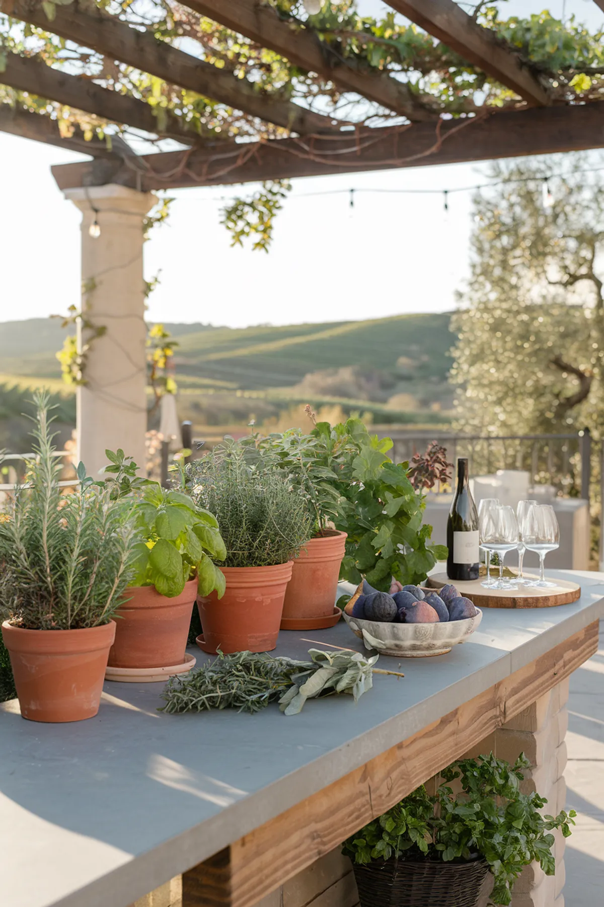 Terracotta pots filled with rosemary, basil, and thyme on a stone counter next to wine glasses and figs.