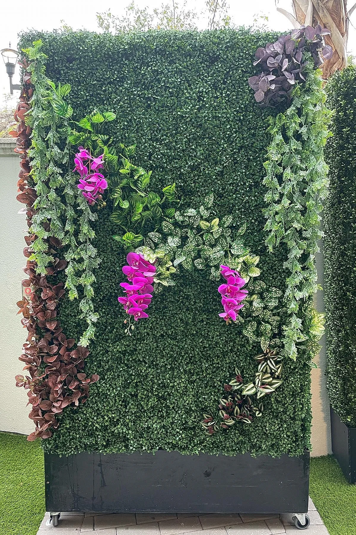 Planter privacy wall filled with dense green foliage accented by bright pink flowers and various trailing plants creating a vibrant outdoor privacy screen