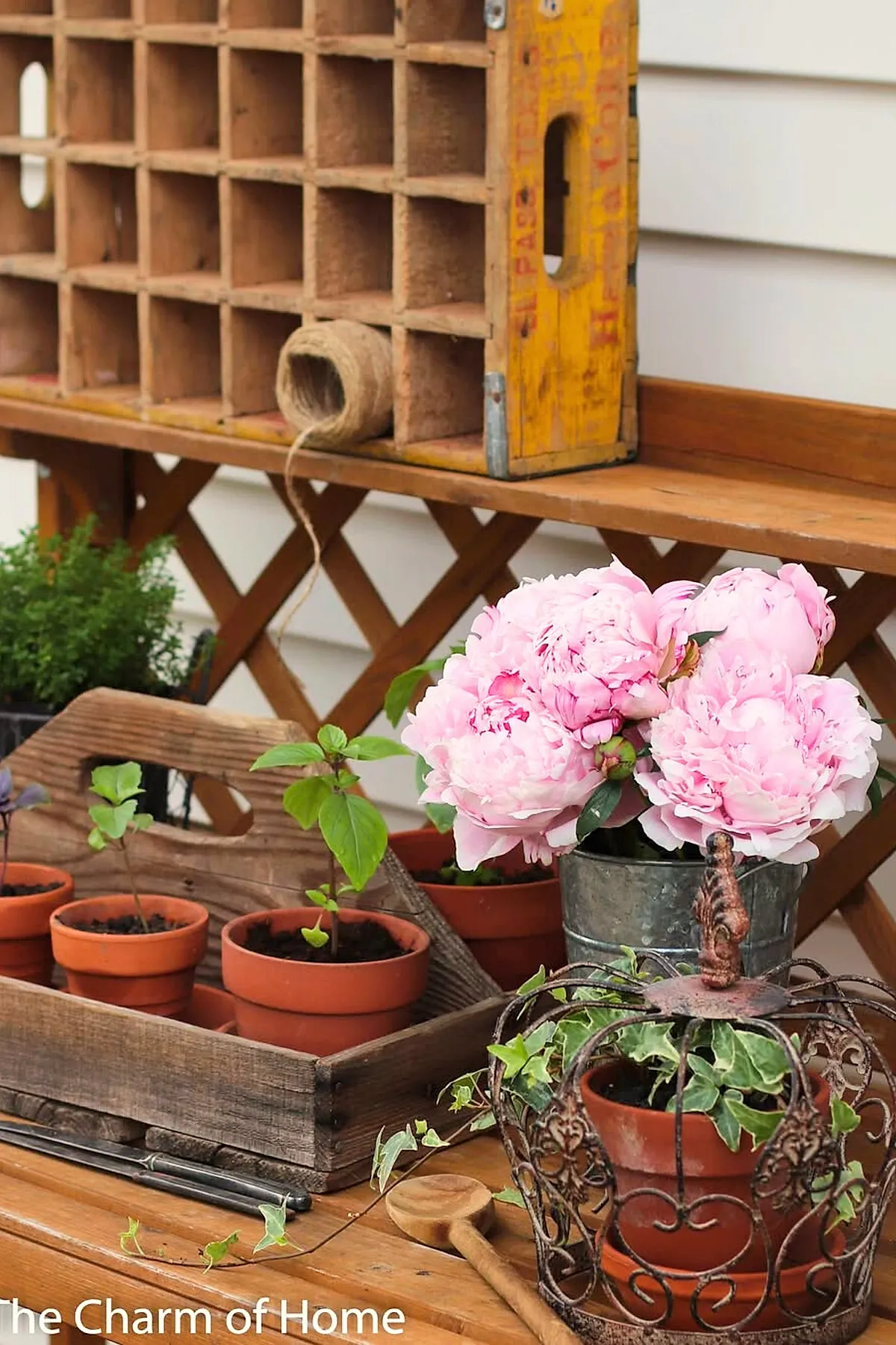 Vintage garden decor featuring a galvanized metal bucket with soft pink peonies, several small terracotta pots with green seedlings arranged inside a weathered wooden crate, an ornate rusted metal cloche covering a terracotta pot with ivy, all set on a wooden surface against a lattice backdrop.