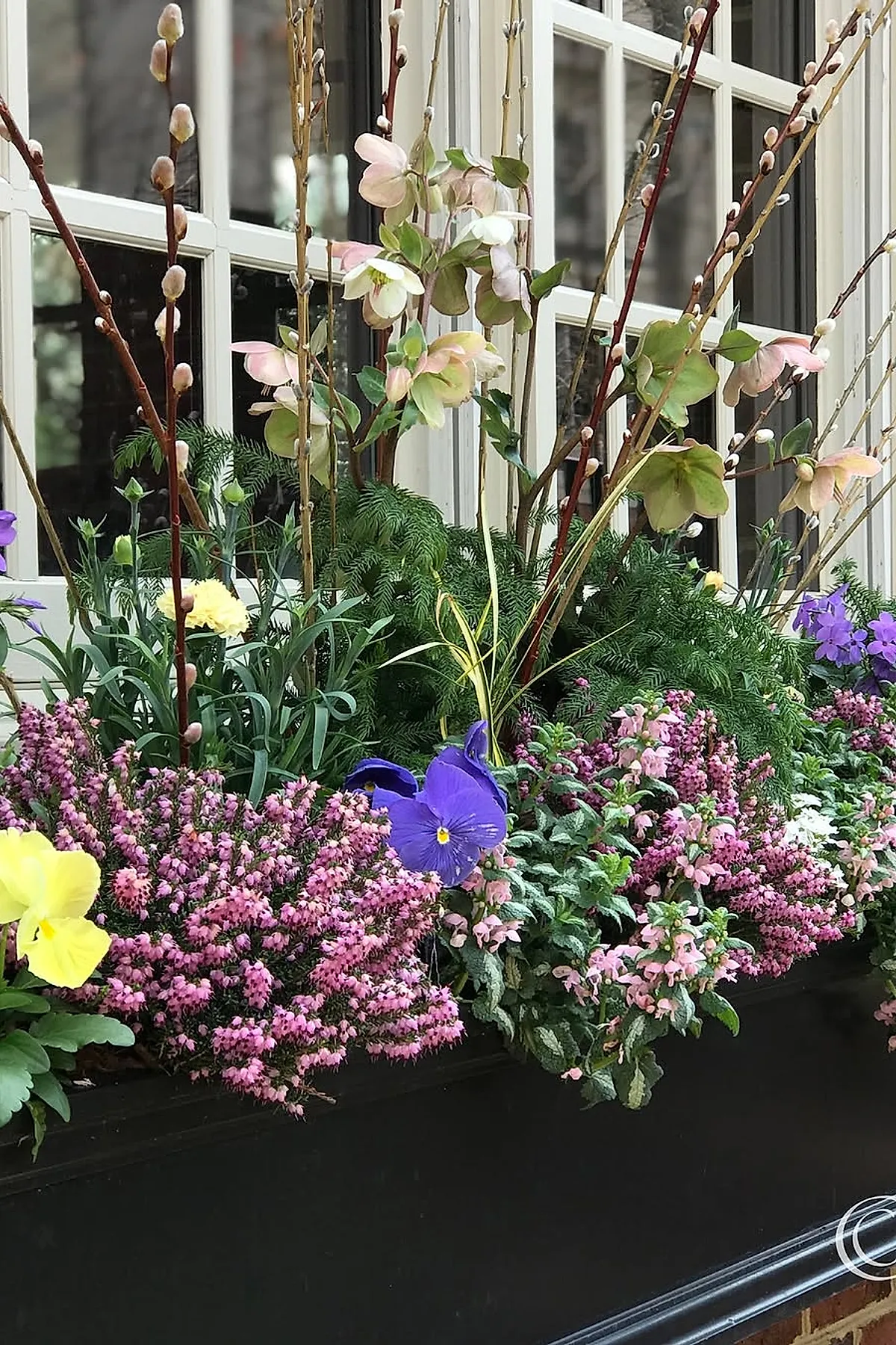 Black window box filled with an assortment of pink, purple, and yellow flowers alongside green foliage in front of white framed windows.