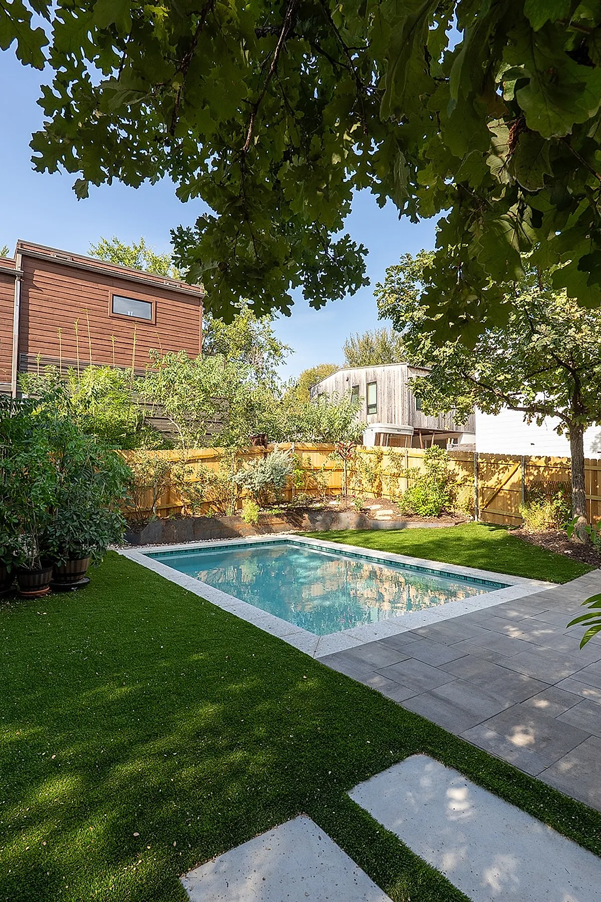 Rectangular plunge pool with clear blue water set in a backyard surrounded by lush green grass, shaded by large leafy trees, with wooden fence and neighboring houses in the background.