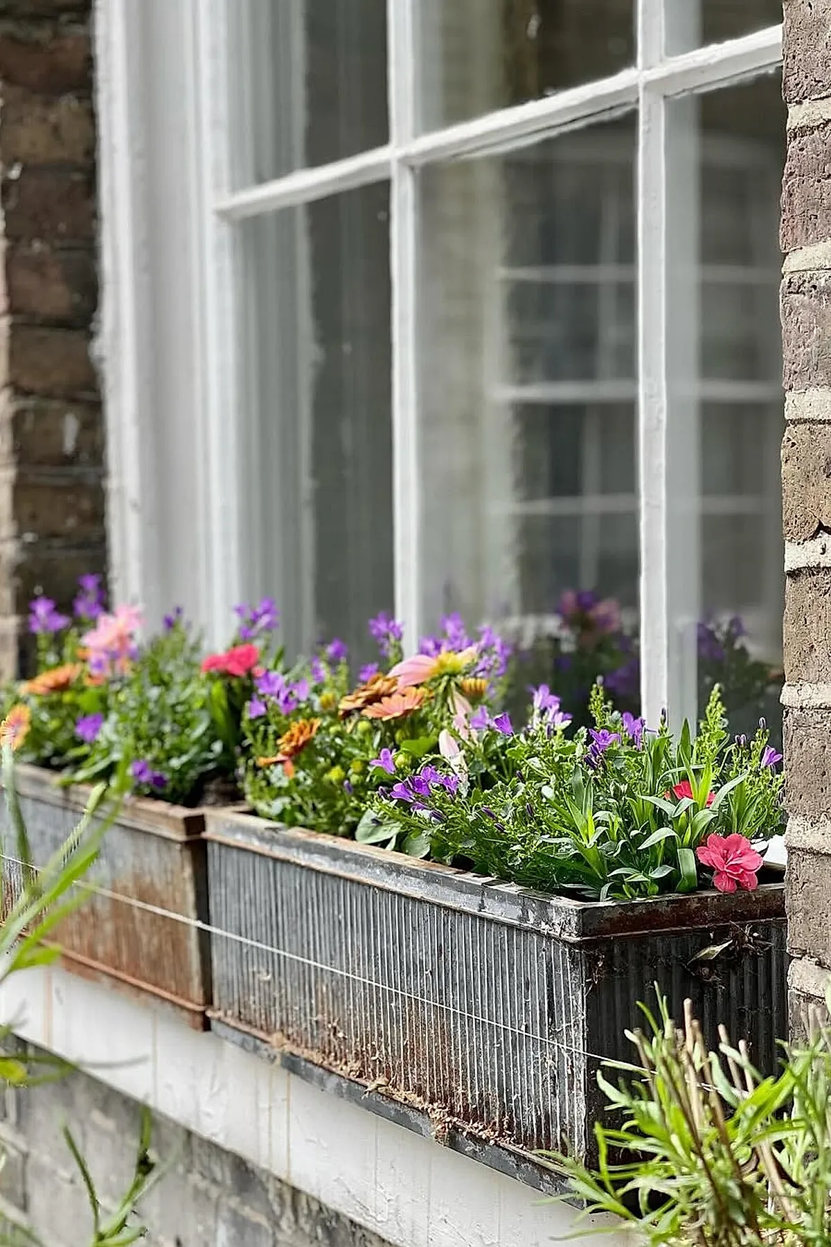 Two rustic metal window boxes mounted under white framed windows on a brick wall, filled with vibrant purple, pink, and orange flowers surrounded by green foliage.