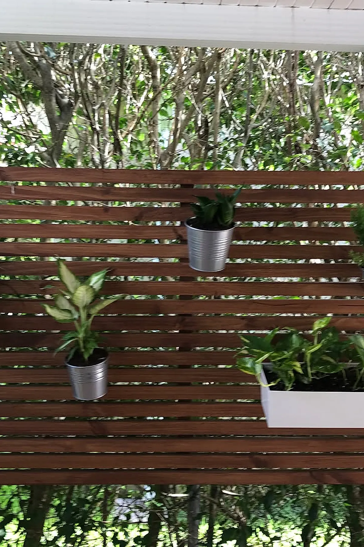 Wooden planter privacy wall made of horizontal wooden slats with small silver metal pots holding green plants hanging on it outdoors