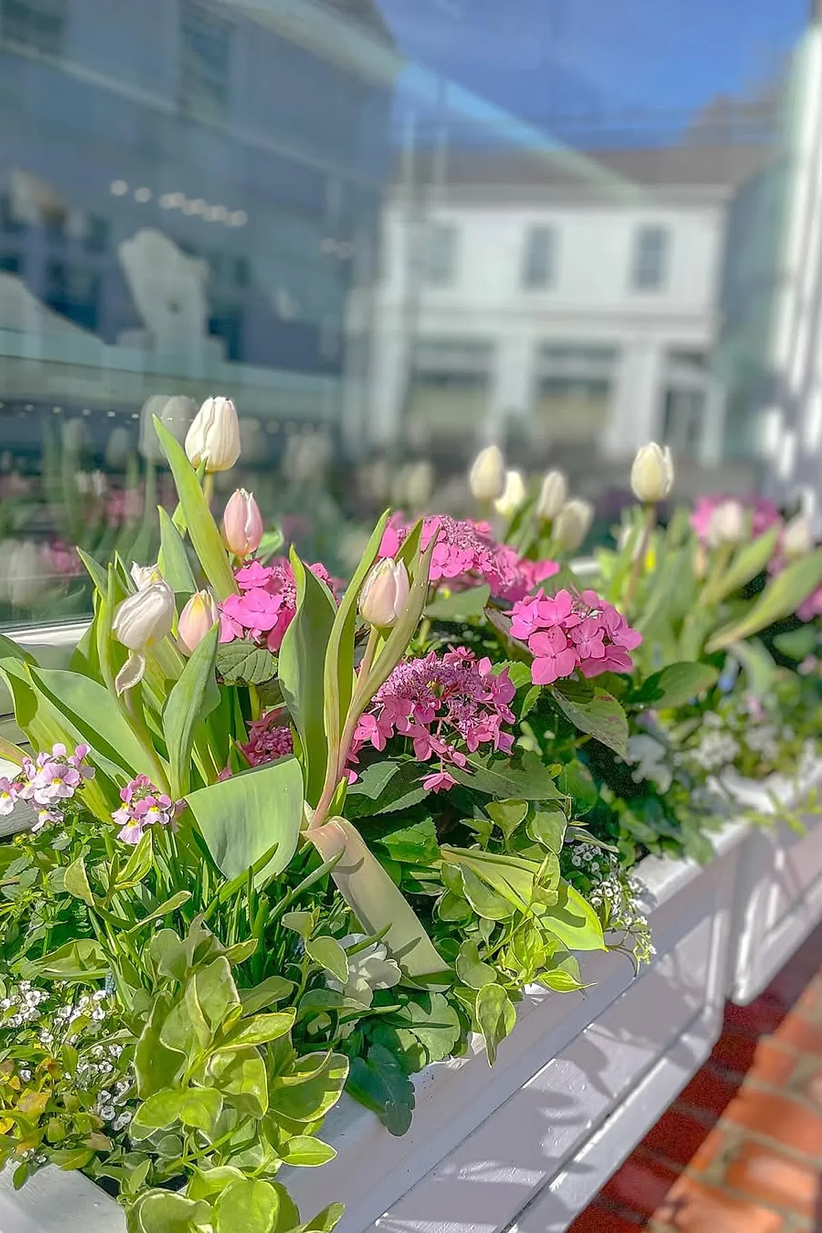White wooden window box filled with pale pink tulips, bright pink hydrangeas, white small flowers, and lush green foliage under a reflective glass window showing buildings.