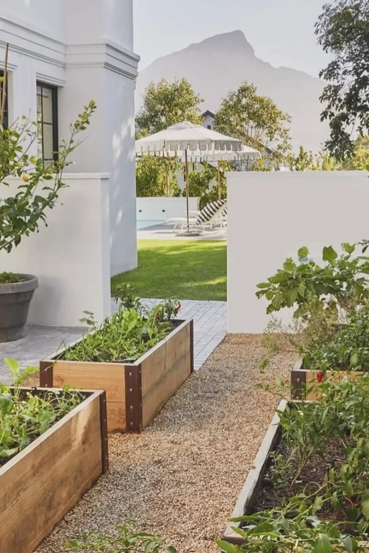 Elegant outdoor garden with wooden raised beds on a gravel path, adjacent to a white building, with mountain views.