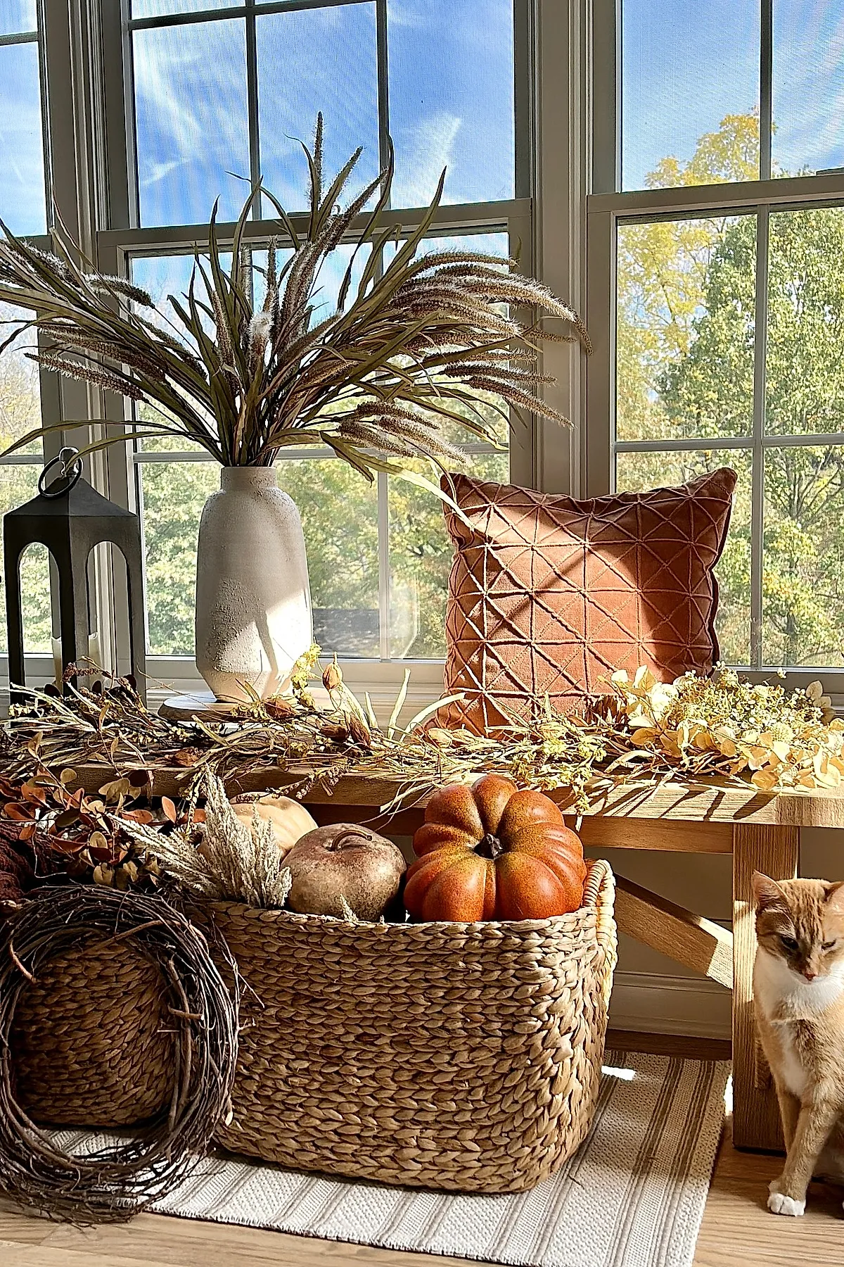 Woven basket filled with various pumpkins and dried flowers placed next to a wooden bench holding a rust-colored textured pillow and tall grass arrangement near large windows with trees outside.